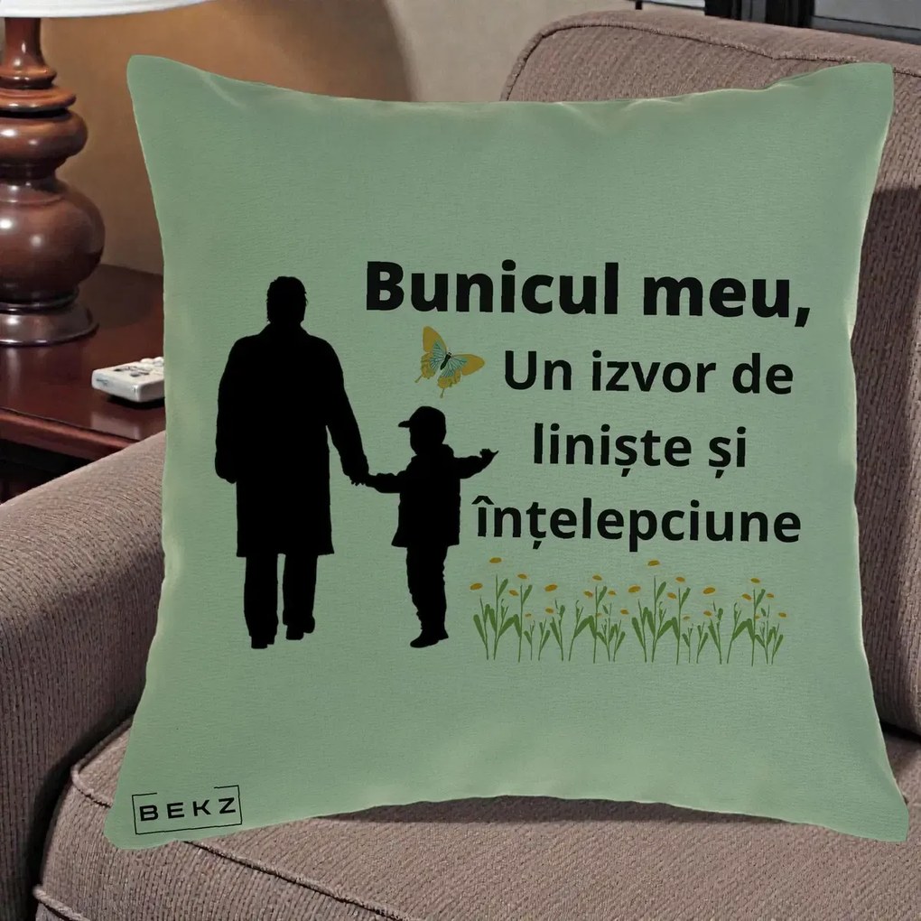 Cadou pentru Bunic - Perna Personalizata Bunicul Meu Izvor de Liniste cu Fluture si Baietel, 40x40 cm, Verde, Husa Detasabila, Perna Inclusa, BEKZ®