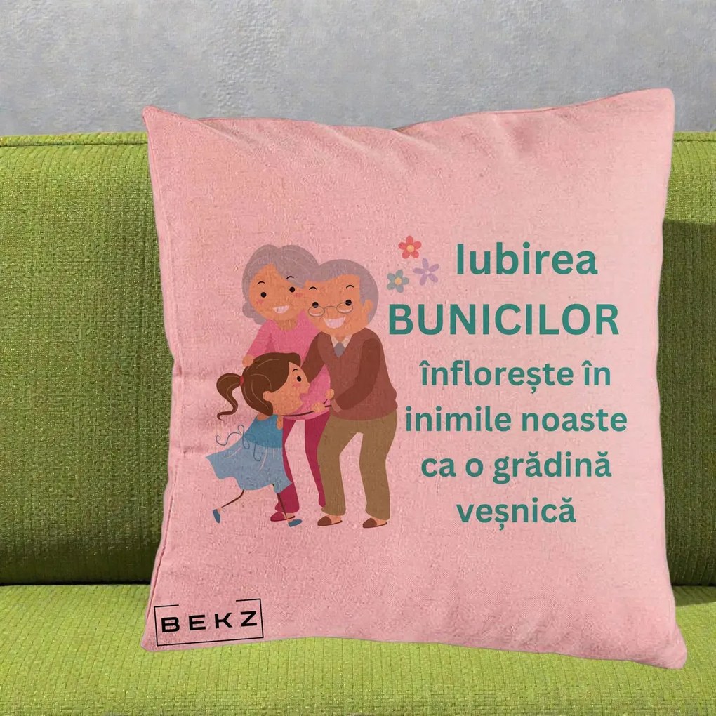 Cadou pentru Bunici - Perna Personalizata Bunicii Iubirea Infloreste cu Nepoata Teal, 40x40 cm, Roz, Husa Detasabila, Perna Inclusa, BEKZ®