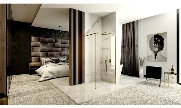 Paravan de dus tip Walk-in Rea Aero 120x195 cm profil auriu