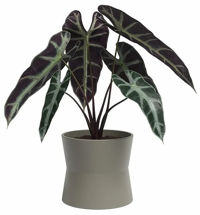 Ghiveci din ceramică ø 20 cm Diana – Artevasi