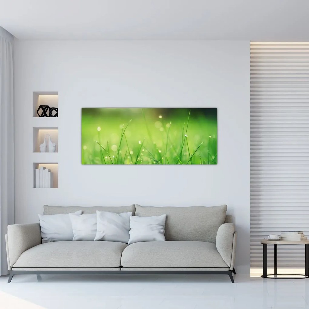 Tablou - roua pe iarbă (120x50 cm)