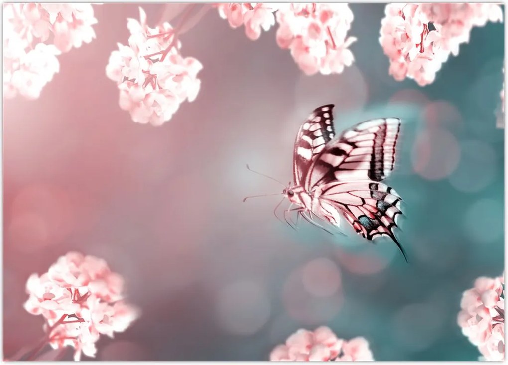 Tablou - Fluture între flori (70x50 cm)