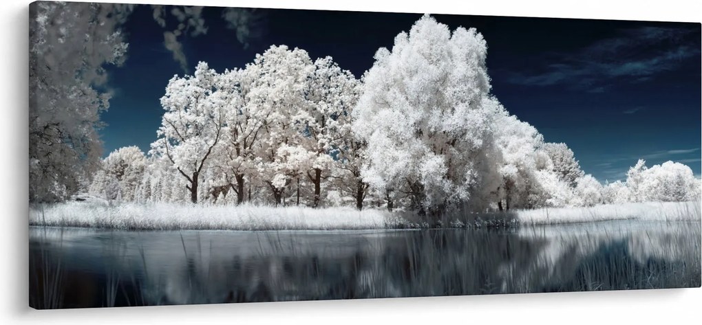 Tablou - Albă ca Zăpada Albă ca Zăpada Copaci (120x50 cm)