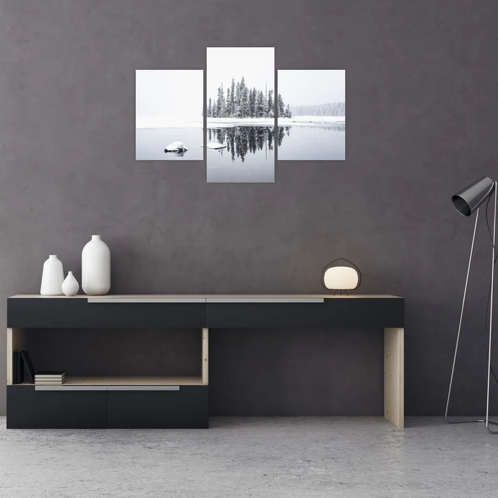 Tablou - A fost alb (90x60 cm)