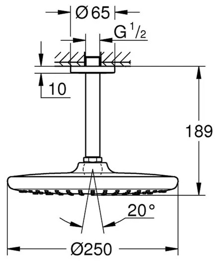 Palarie si brat de dus crom Grohe Tempesta 250 rotunda