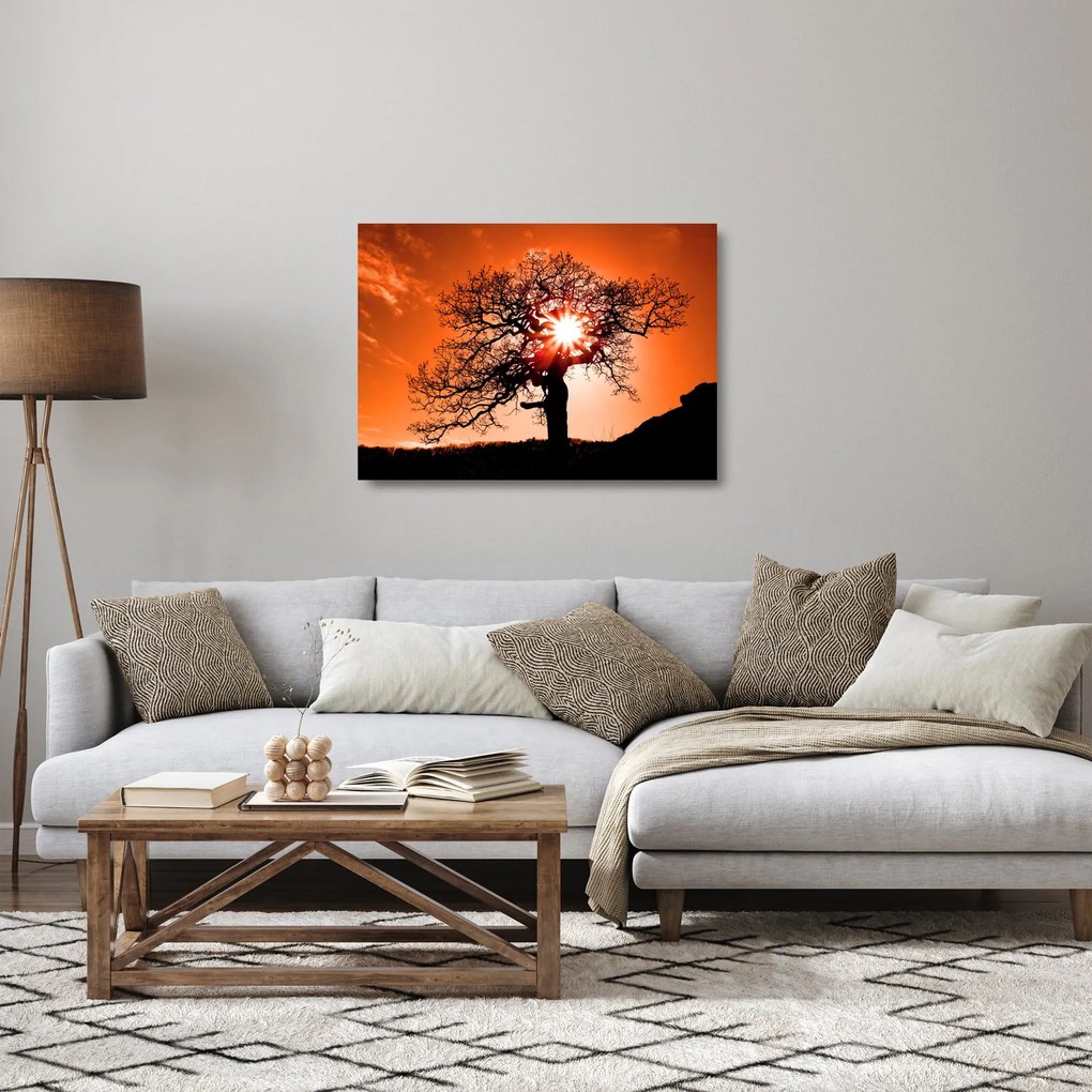 Tablou pe sticlă - Fag la apus de soare (70x50 cm)