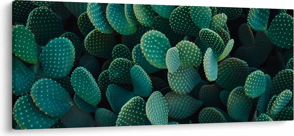 Tablou - Opuntia (120x50 cm)