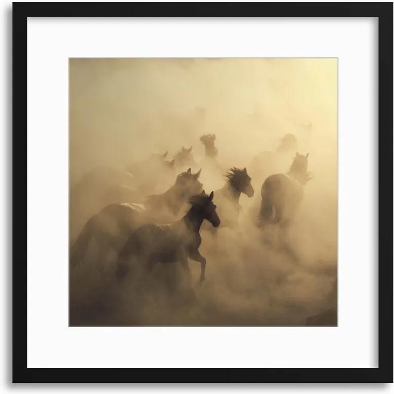Imagine în cadru - Migration of Horses by Hüseyin Taşk?n 40x40 cm