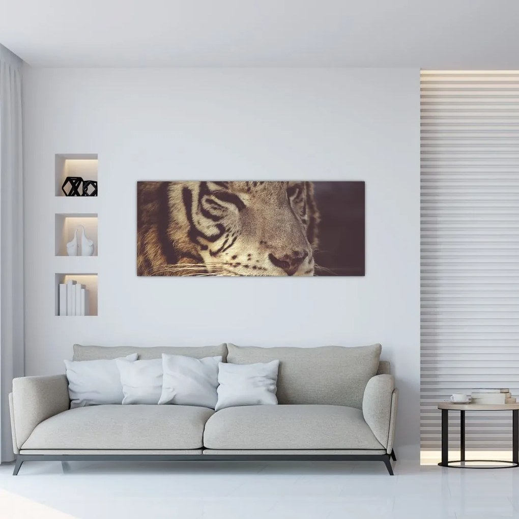 Tablou cu tigrul (120x50 cm)