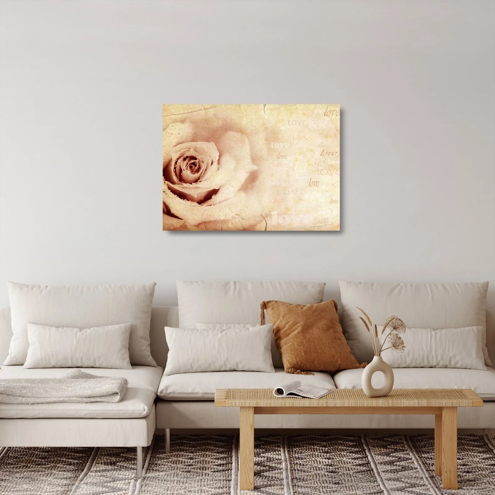 Tablou pe sticlă - floare de trandafir pentru îndrăgostiți (70x50 cm)
