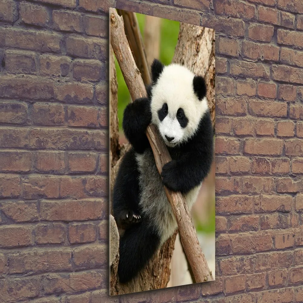 Tablou Printat Pe Sticlă Panda într-un copac