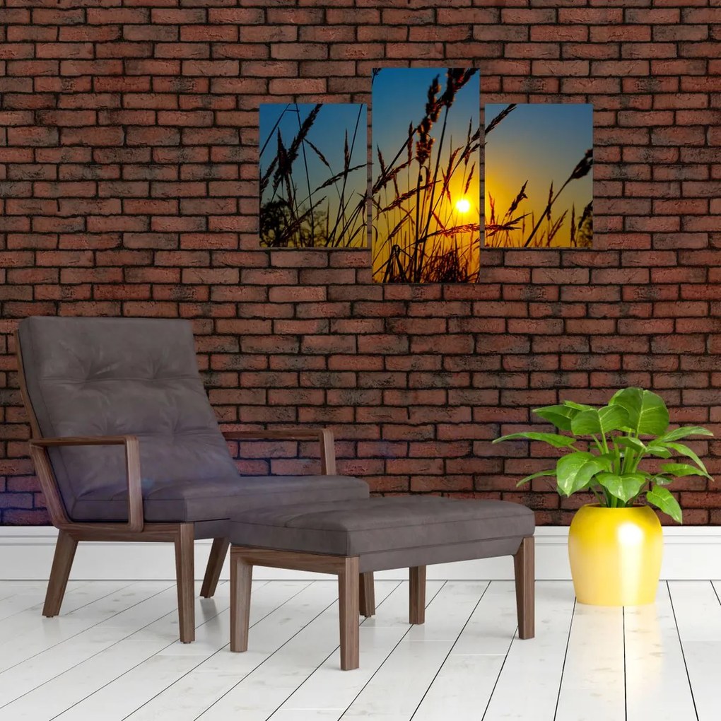 Tablou - Apus de soare pe pajiște (90x60 cm)
