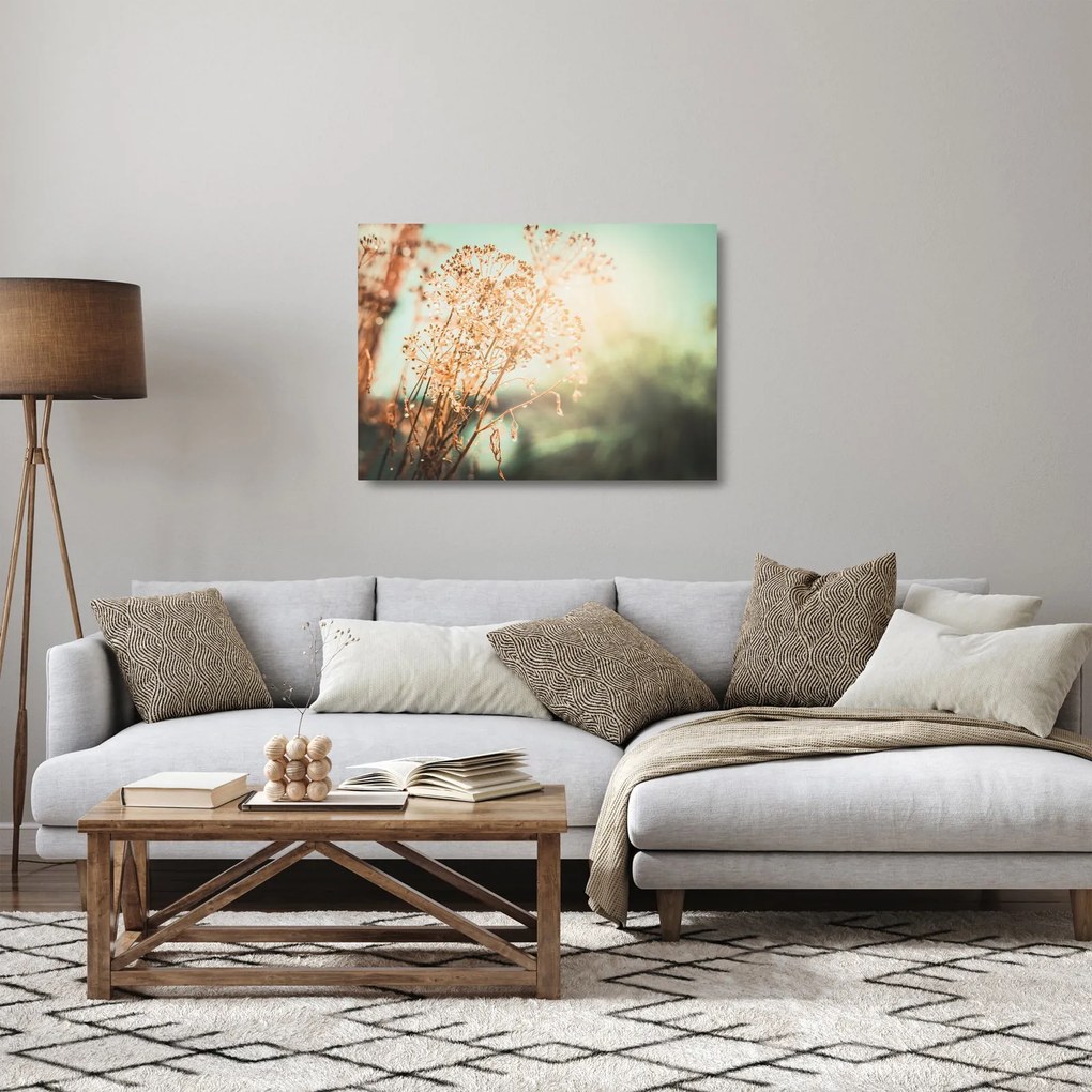 Tablou pe sticlă - Plante după ploaie (70x50 cm)