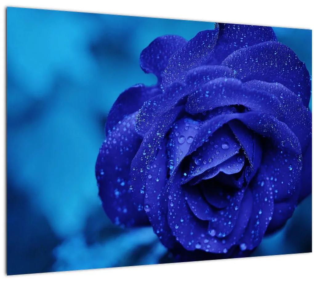 Tablou cu trandafir  albastru (70x50 cm), în 40 de alte dimensiuni noi