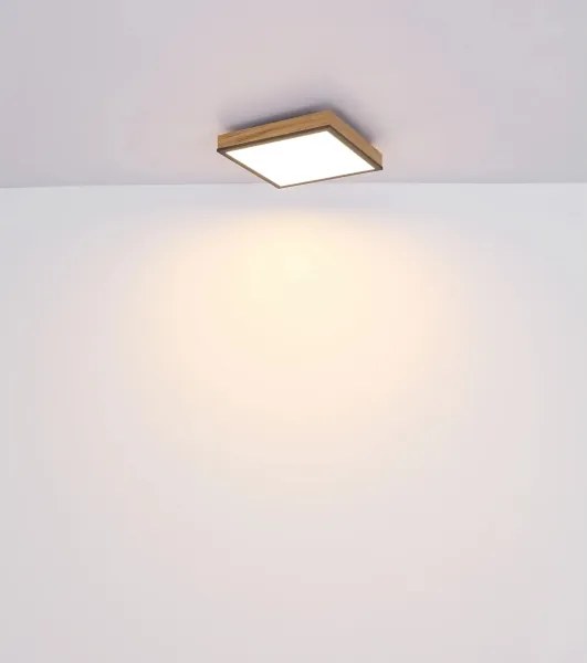 Globo 416080WD2-CCT - Plafonieră LED dimabilă DORO 24W/230V 3000-6500K 45x45 cm