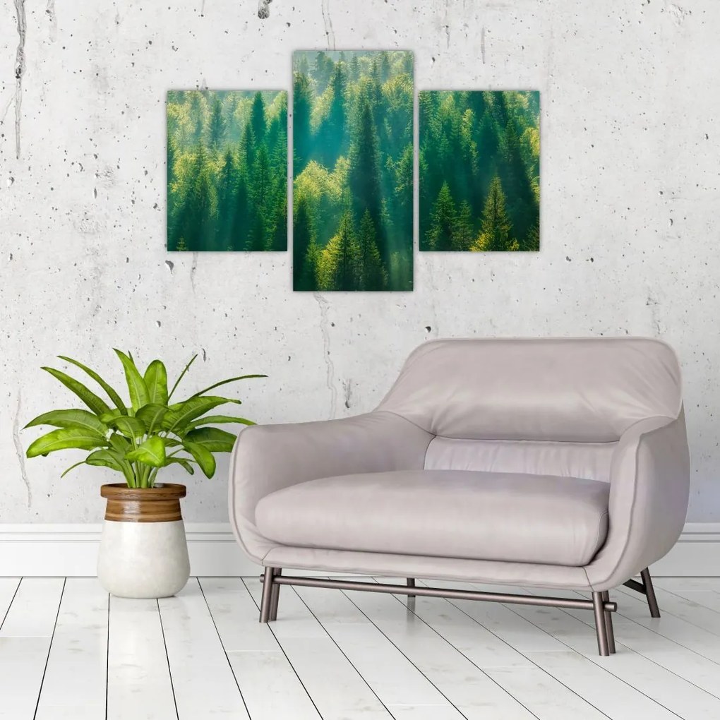 Tablou - Pădurea de brazi (90x60 cm)