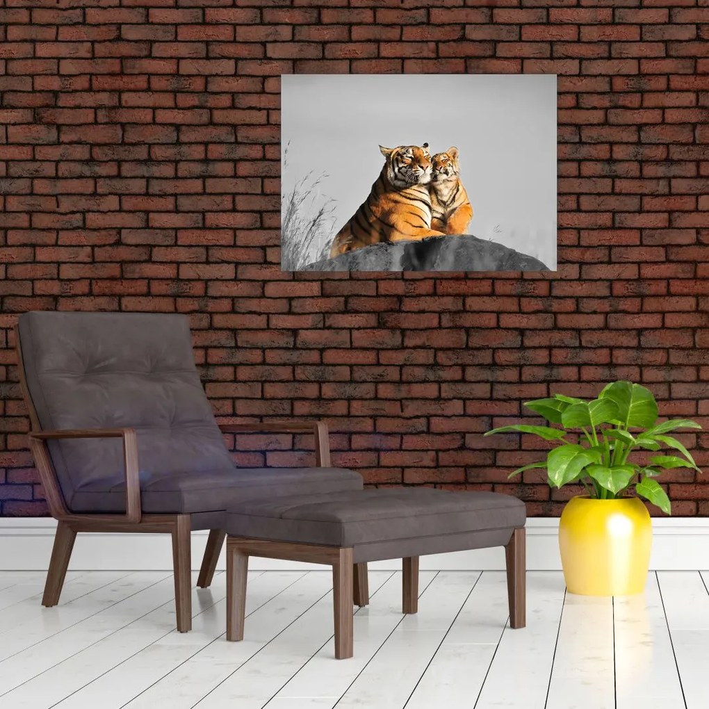 Tablou - Tigroaica cu pui, versiunea alb-negru (70x50 cm)