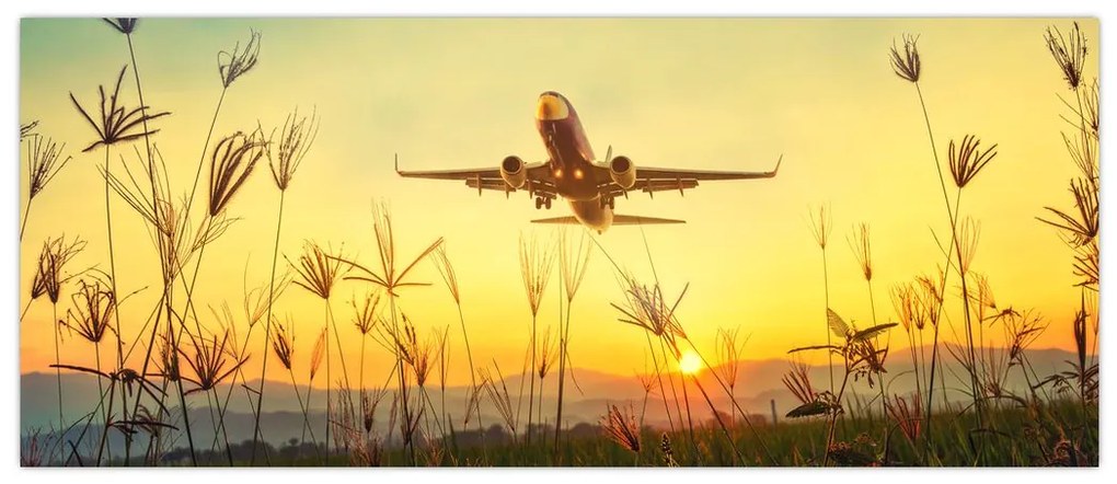 Tablou cu avion zburând (120x50 cm)