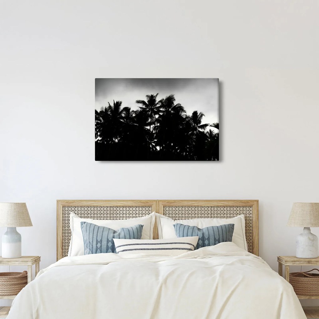 Tablou alb negru - palmieri (90x60 cm)