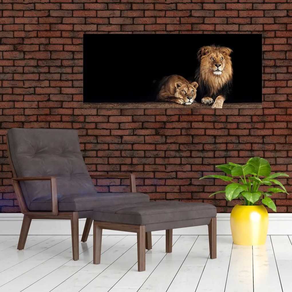 Tablou - Leu și leoaică (120x50 cm)