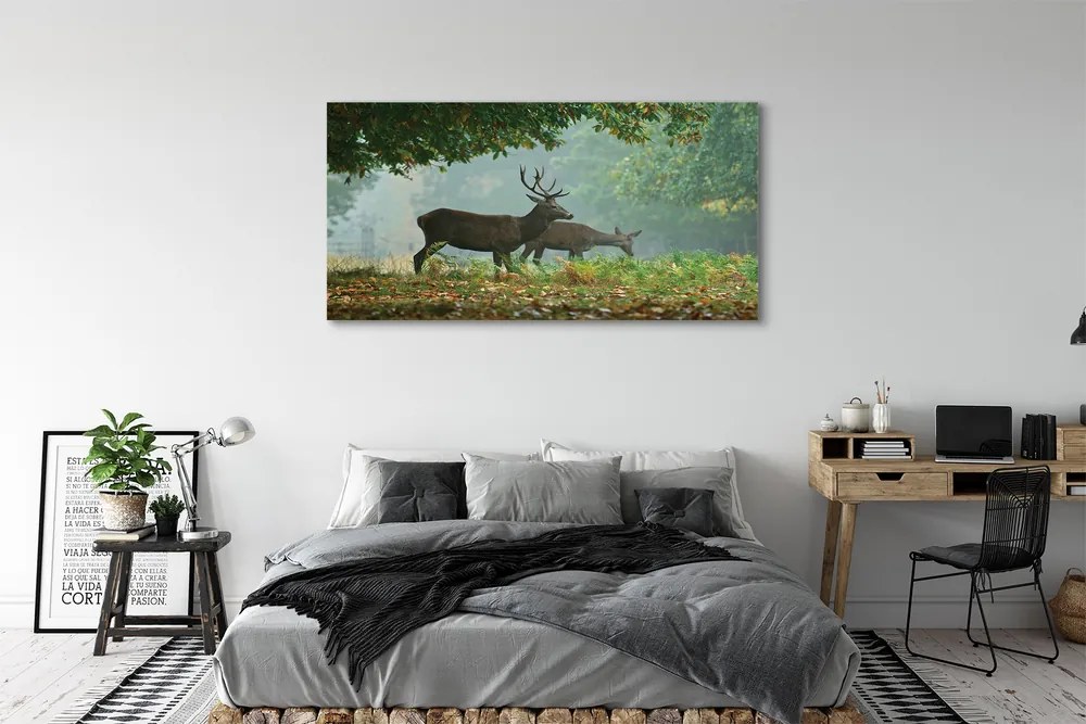 Tablouri canvas pădure toamna Deer