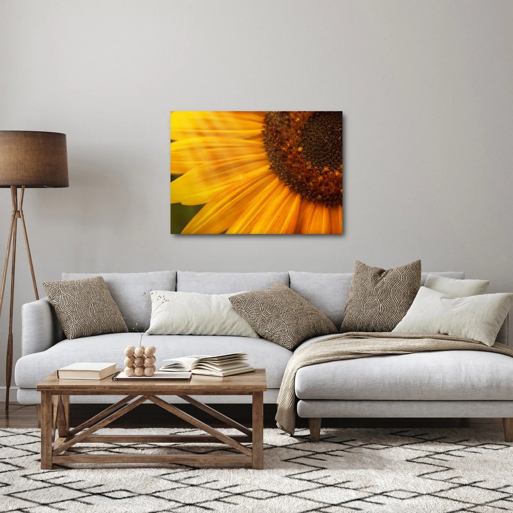 Tablou - Floarea-soarelui (70x50 cm)