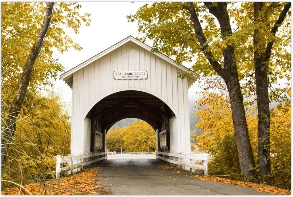 Tablou cu podul în Oregon (90x60 cm)