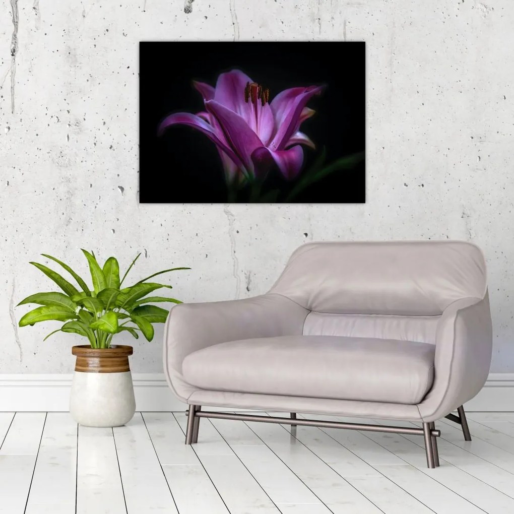 Tablou crinul (70x50 cm)