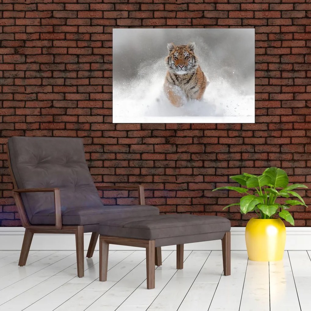 Tablou cutigru fugind prin zăpadă (90x60 cm)