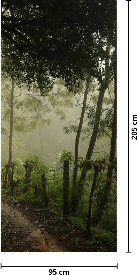 Fototapet pentru ușă - Ceața de dimineață (95x205cm)