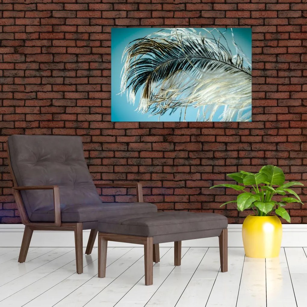 Tablou cu pană (90x60 cm)