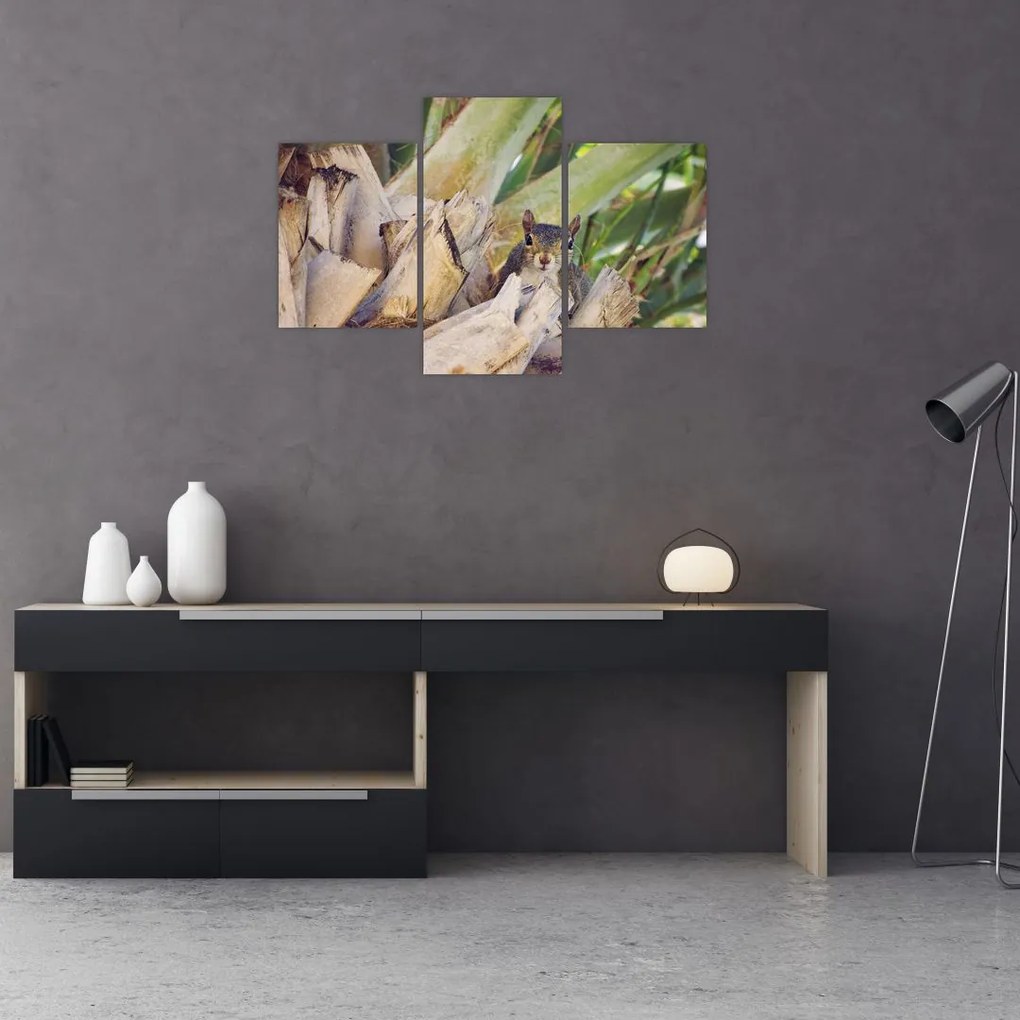 Tablou cu veverița în copaci (90x60 cm)