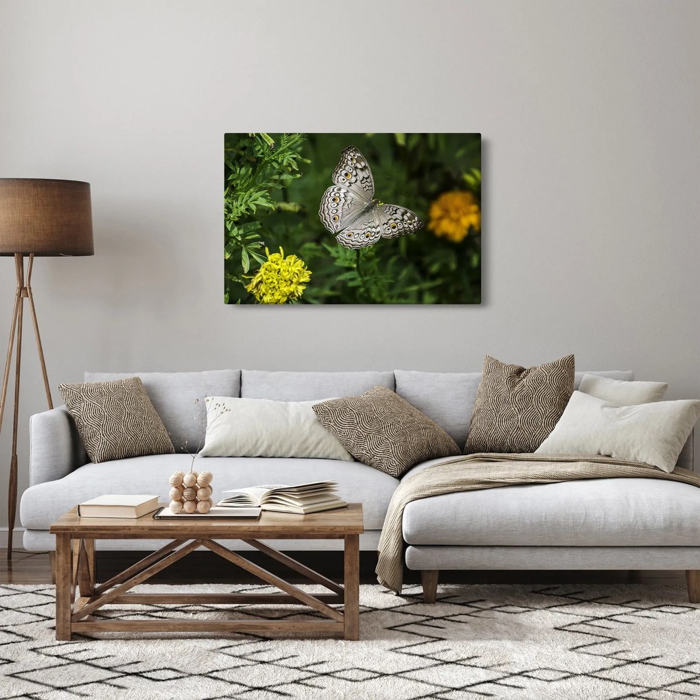 Tablou - fluture alb (90x60 cm)