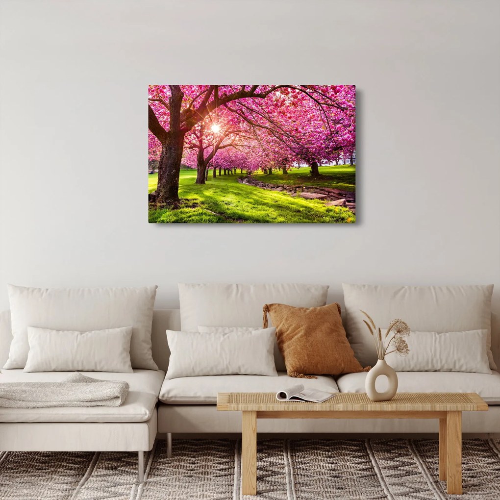 Tablou - Cireși înfloriți, Hurd Park, Dover, New Jersey (90x60 cm)