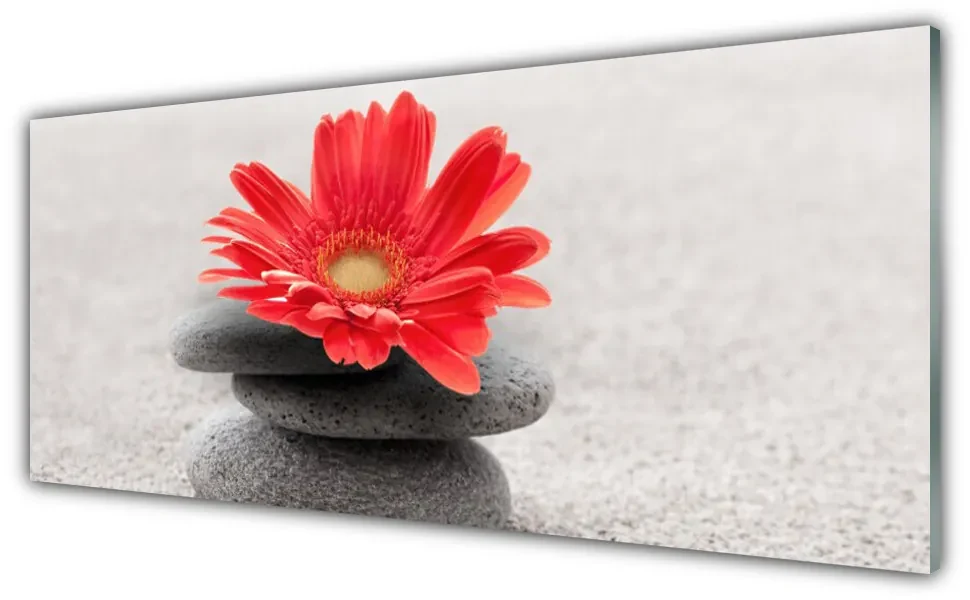 Tablou pe sticla Pietrele de flori Arta Orange Gray