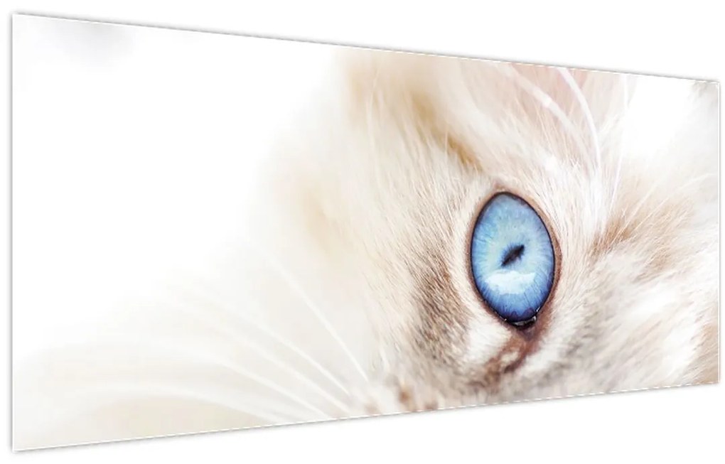 Tablou - Pisicuță (120x50 cm)