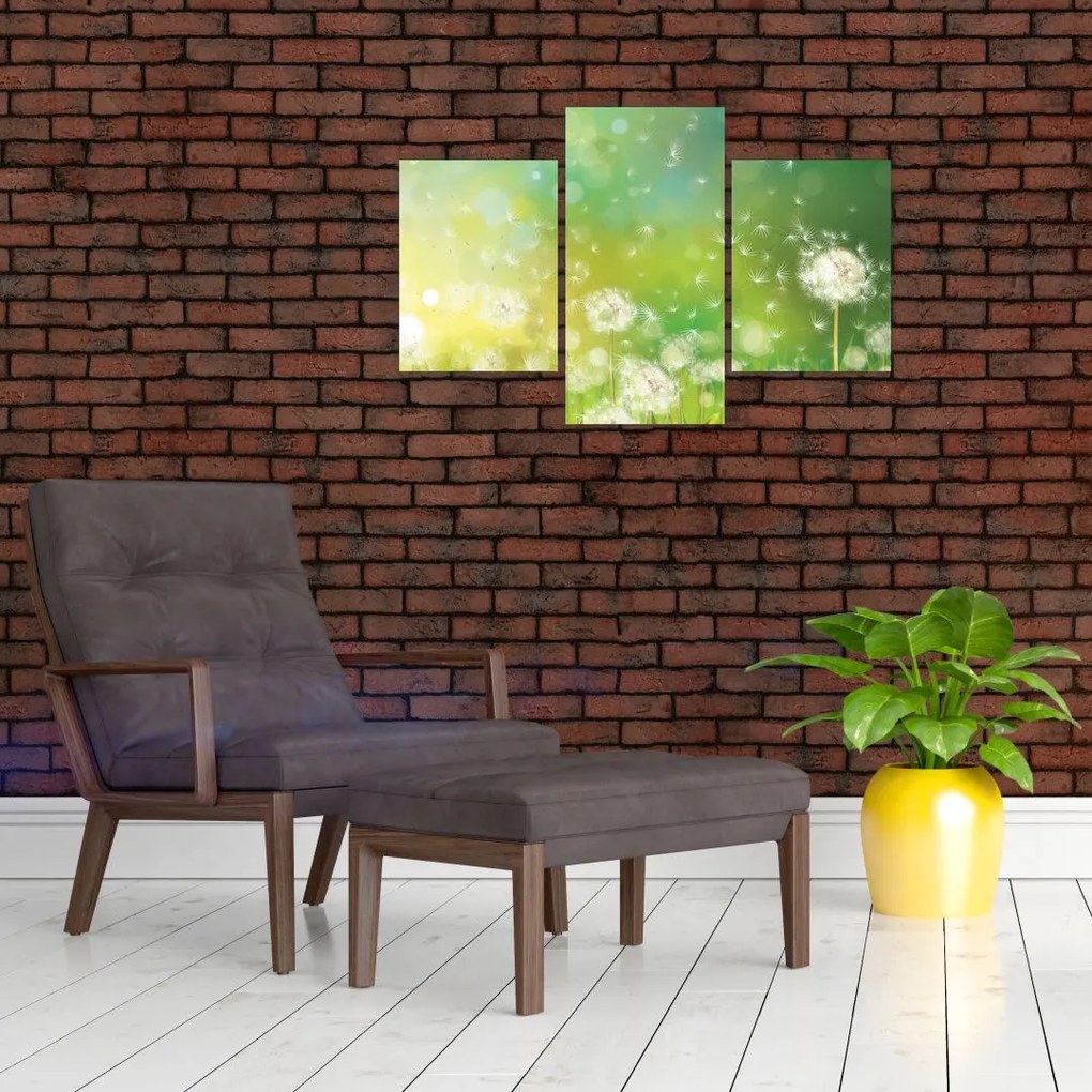 Tablou - Păpădie înflorită (90x60 cm)