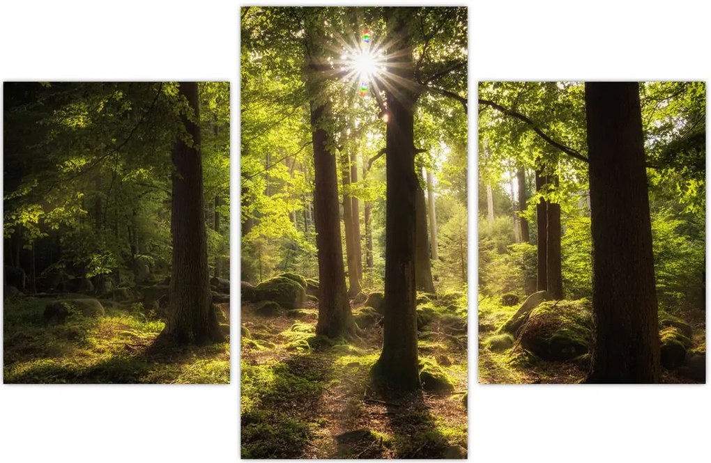 Tablou - Pădurea de vis (90x60 cm)