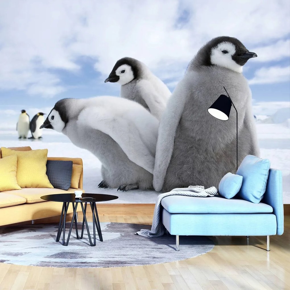 Fototapet - Pinguini (254x184 cm)