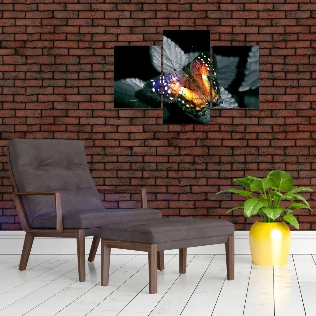 Tablou cu fluture (90x60 cm)