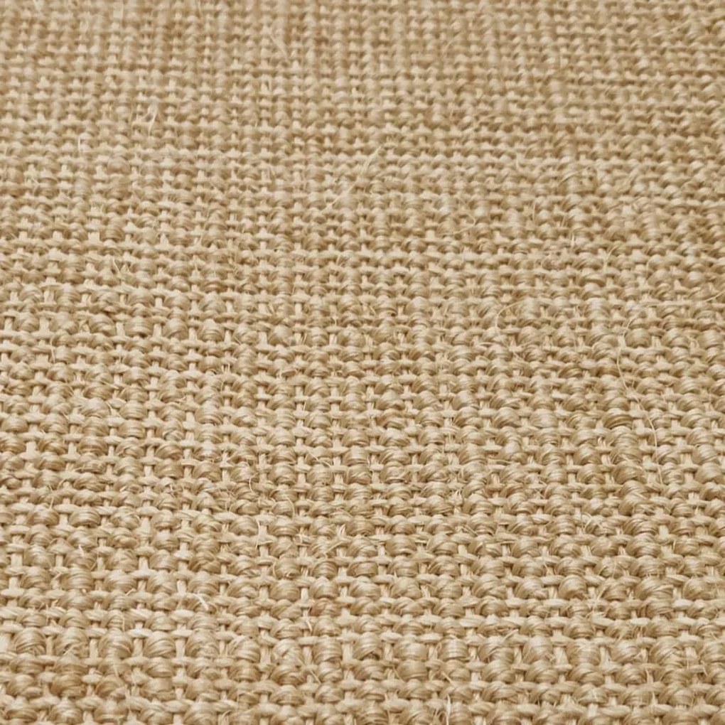 Covor din sisal, natural, 80x100 cm natural, 80 x 100 cm