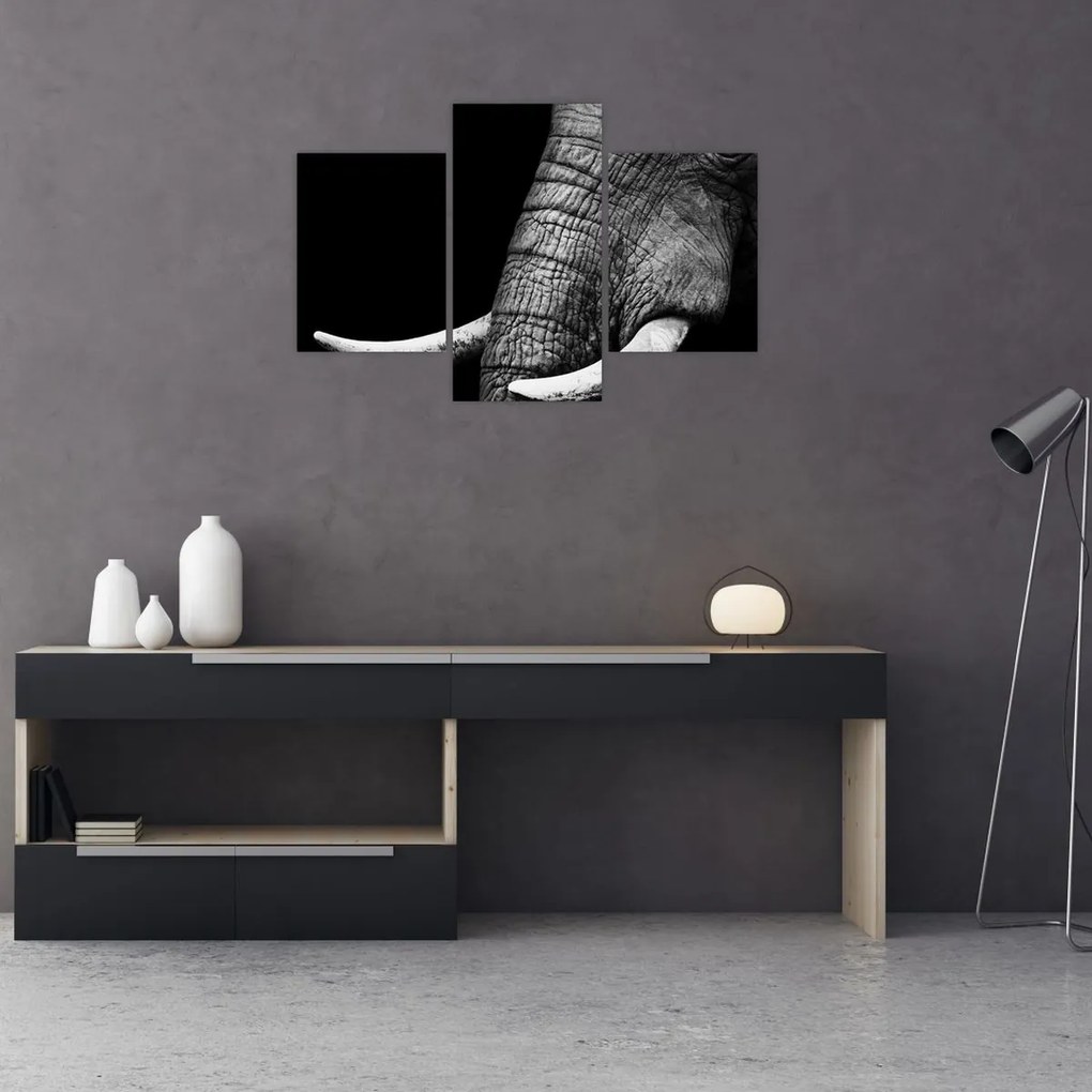 Tablou - Colți de elefant (90x60 cm)