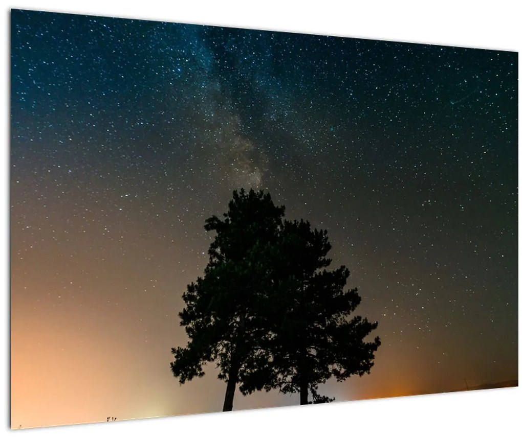 Tablou cu cerul nocturn și copaci (90x60 cm)