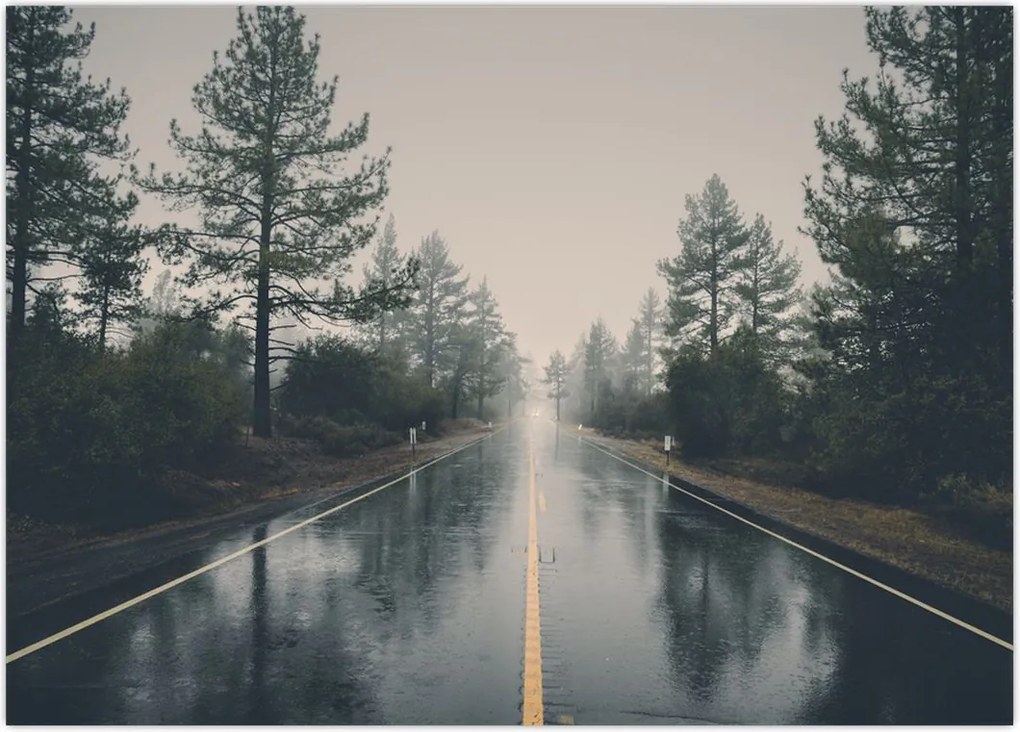 Tablou - Drum în ploaie (70x50 cm)