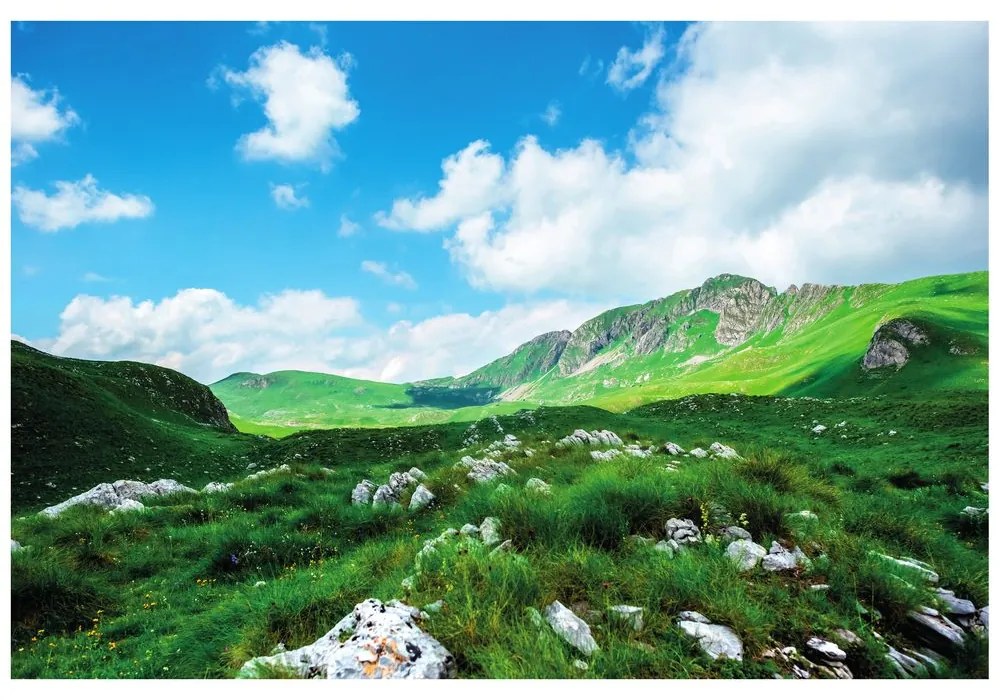 Fototapet vale în Muntenegru