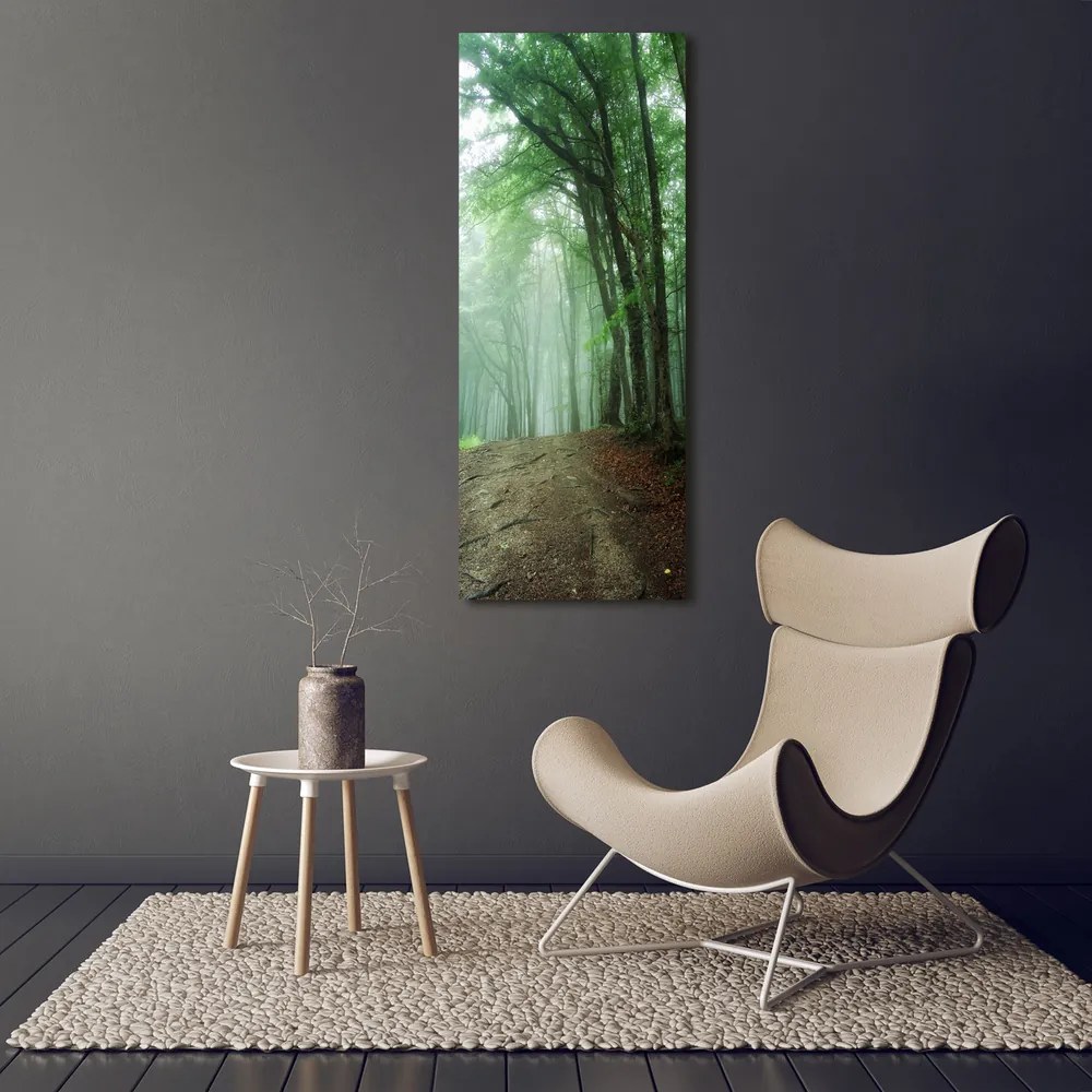 Print pe canvas Ceață în pădure