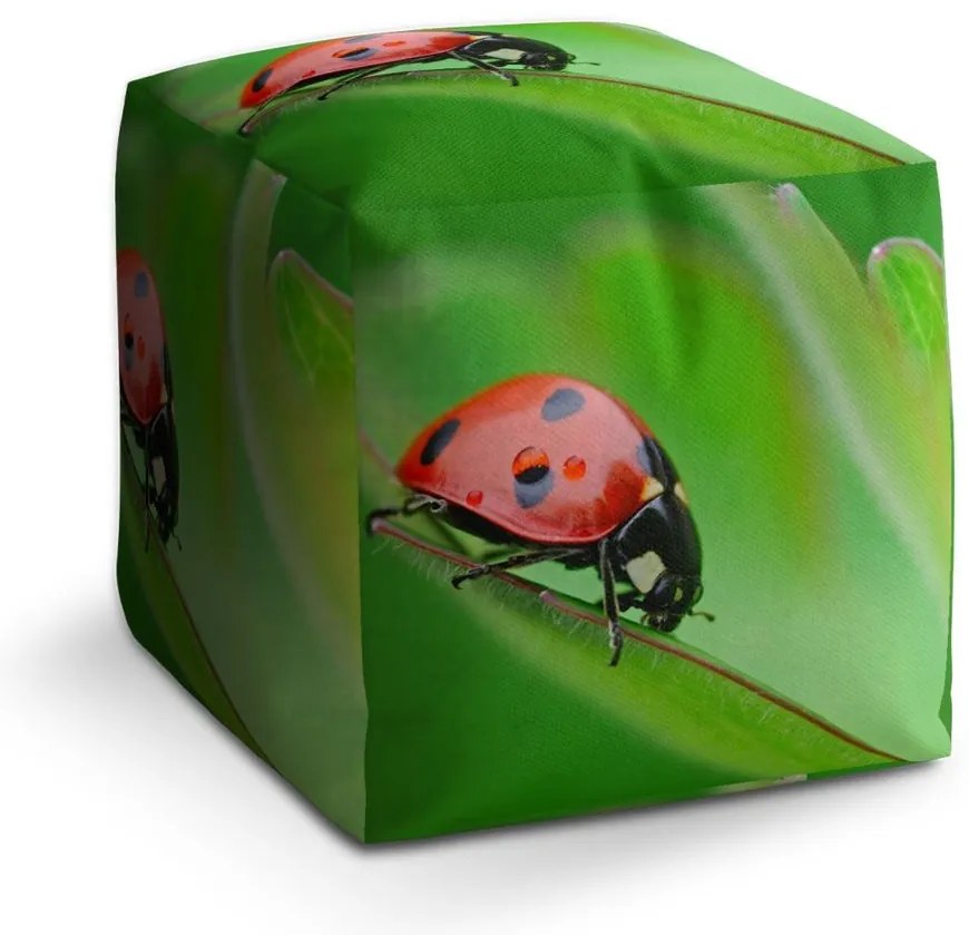 Taburet Cube buburuză pe frunză, verde