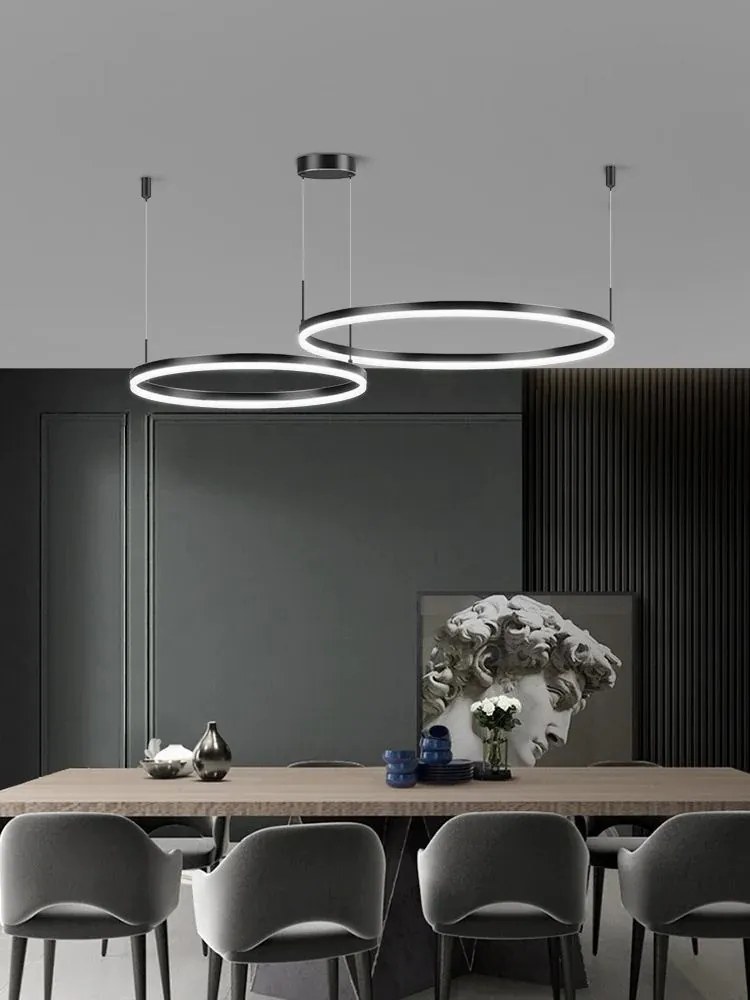 Lustra LED Esn F203001/2, Cu Telecomanda, 3 Tipuri De Lumina, 120W, Negru
