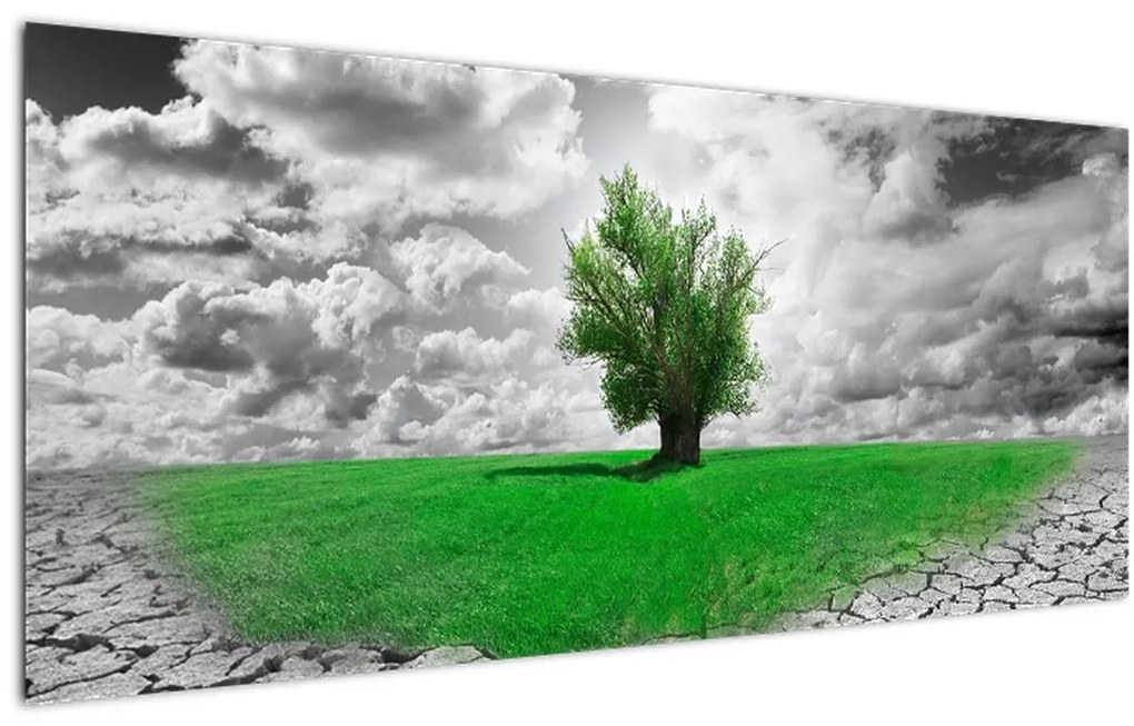 Tablou - O bucată de natură în oraș (120x50 cm)