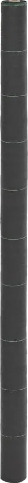 vidaXL Membrană antiburuieni, negru, 2x10 m, PP